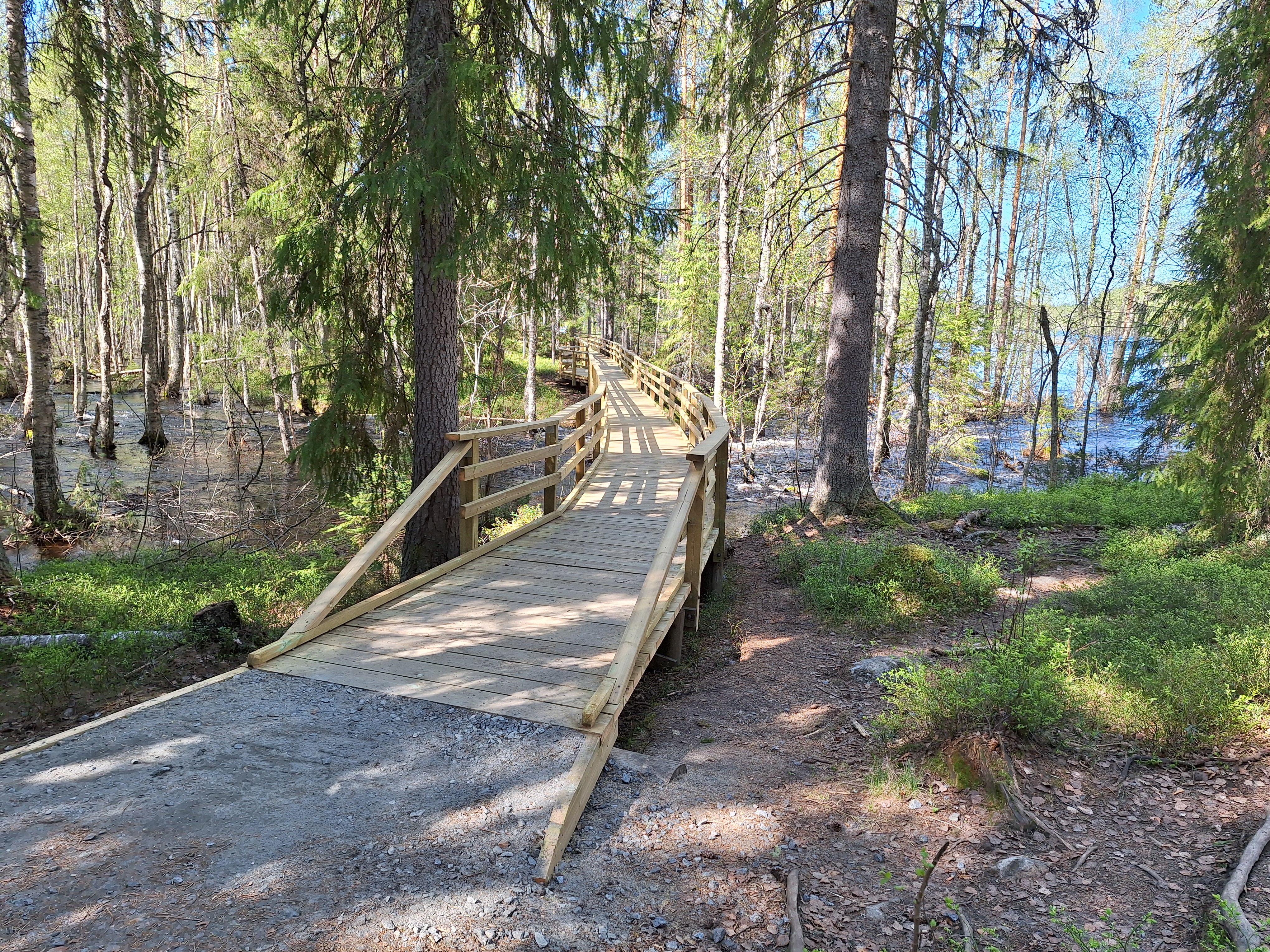 Neitikosken lankkusilta. Kuva: Pekka Nykänen