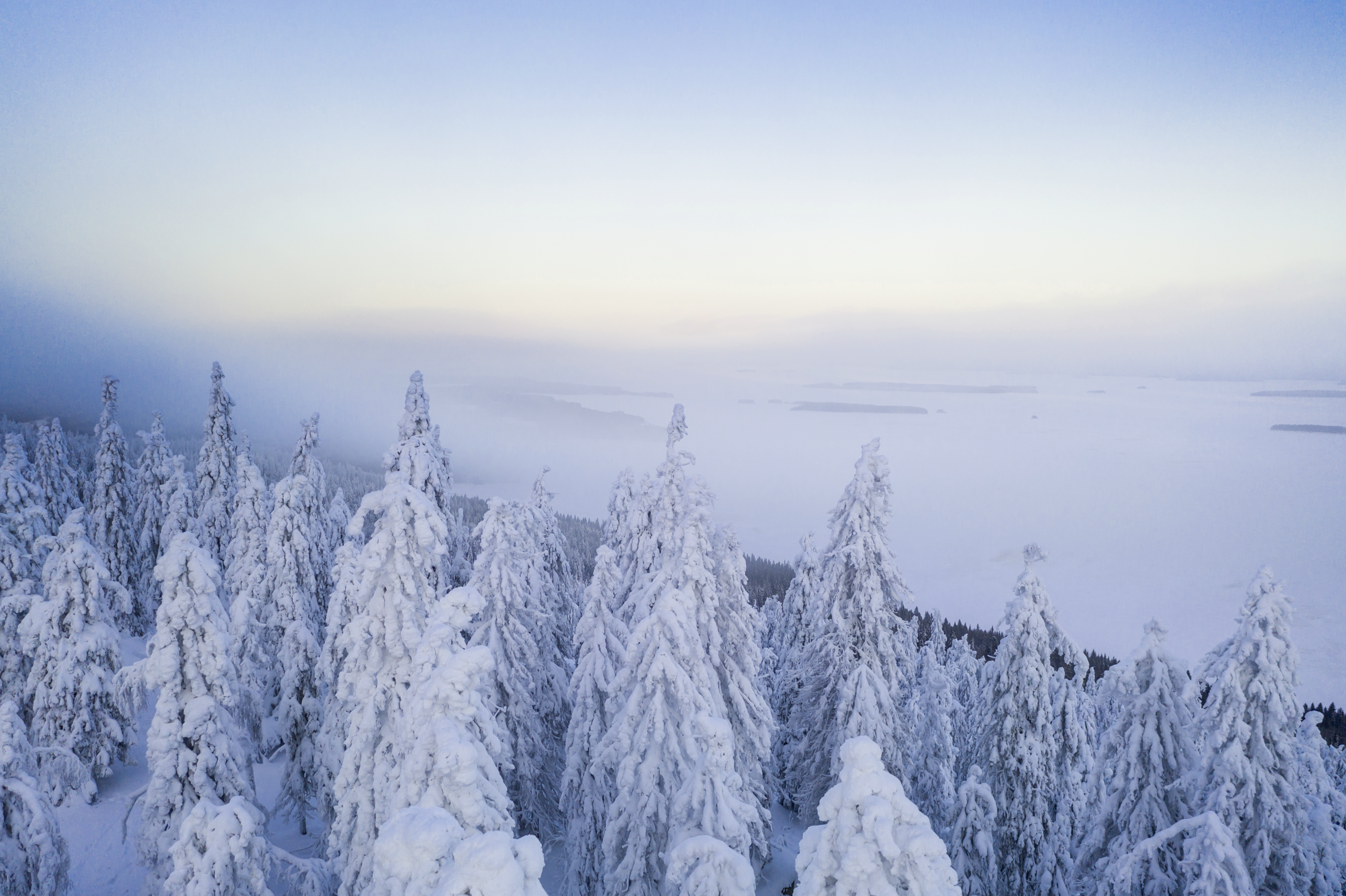 Maisema järvelle talvella. Rinteessä tykkylumen peittämiä puita.