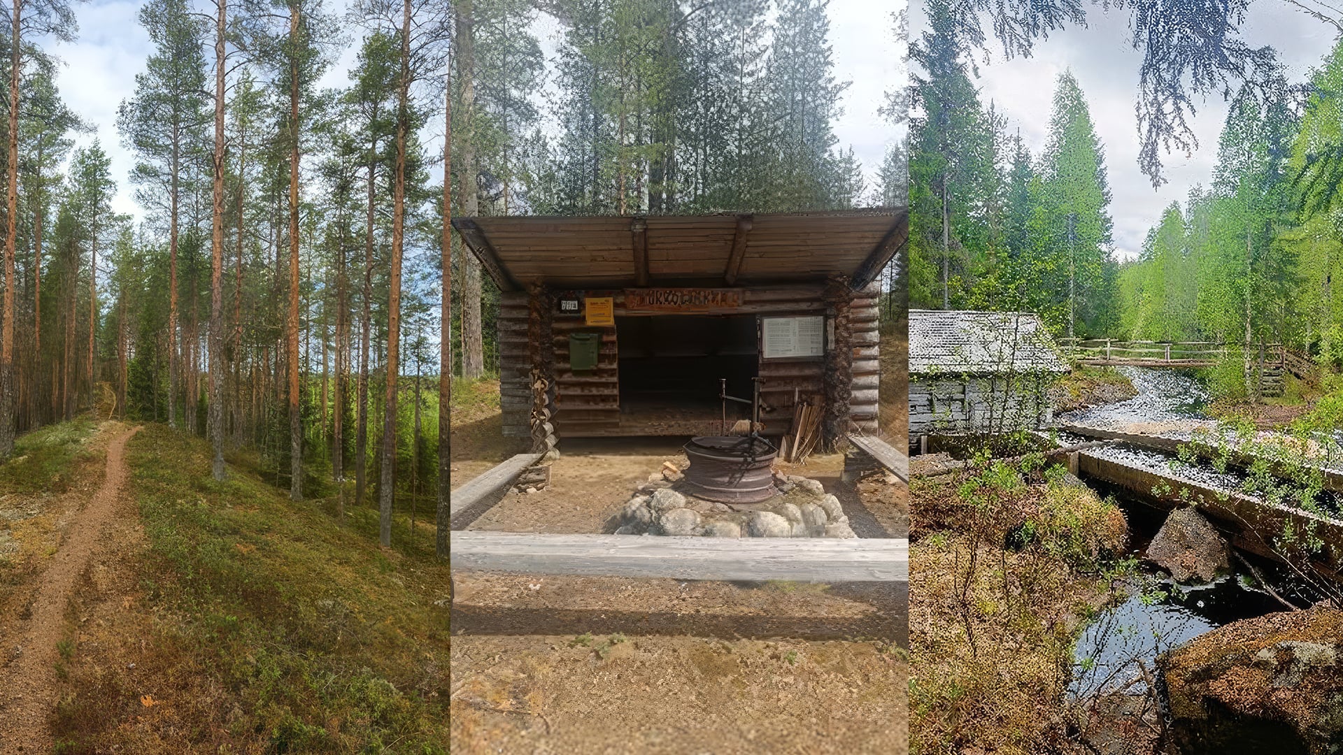 Metsäpolku ja laavu