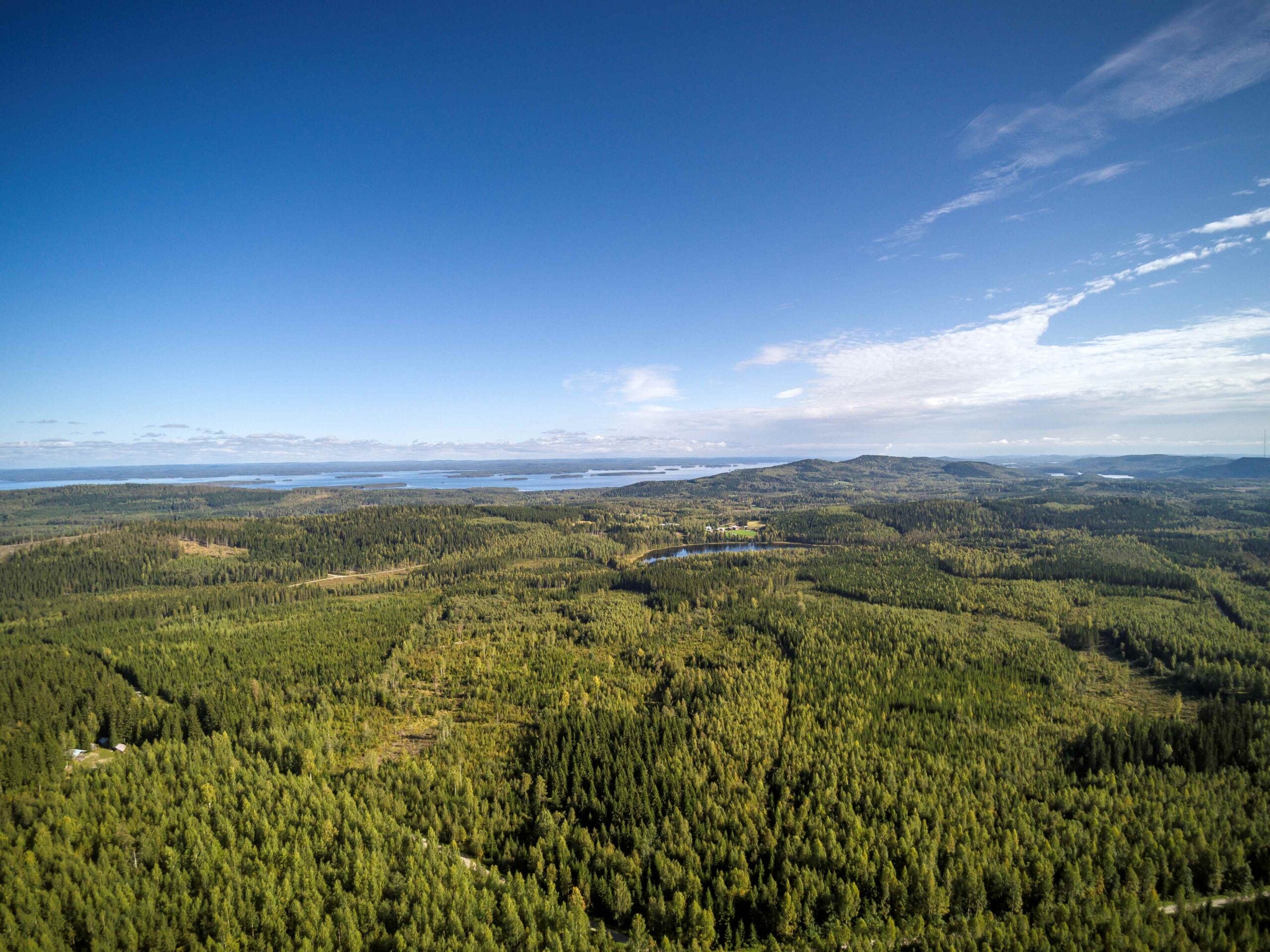 Kolin Räsävaa­ran parkkia­lu­een kunnos­ta­mi­nen ja kotalaa­vun raken­ta­mi­nen on aloitettu